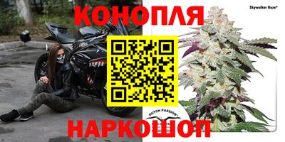 прущая мука Кингисепп