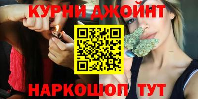 гидра Кимры